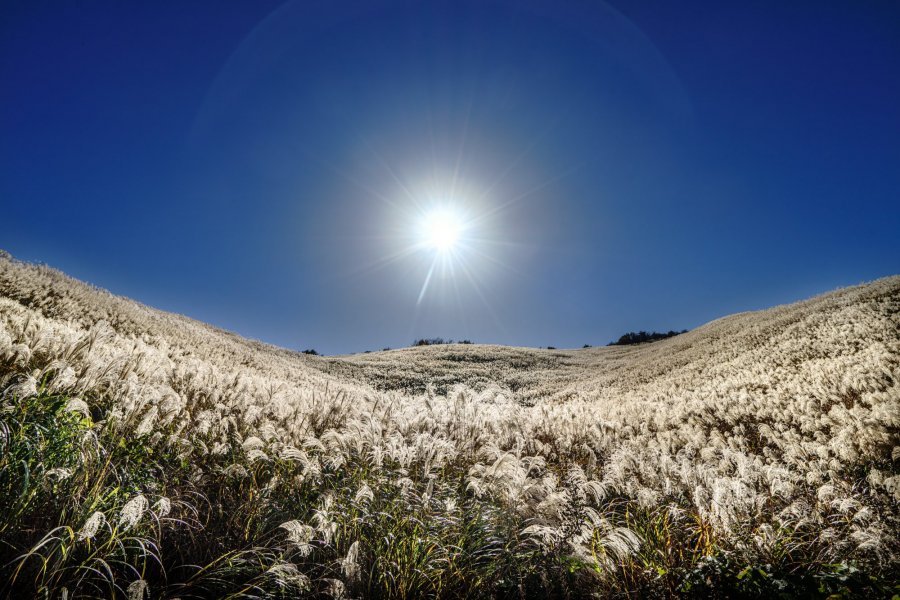 🏞️ 시오즈카 고원(塩塚高原) 이미지 4